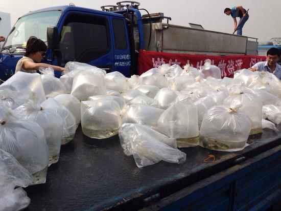 װ���������д��ŵĺ�������