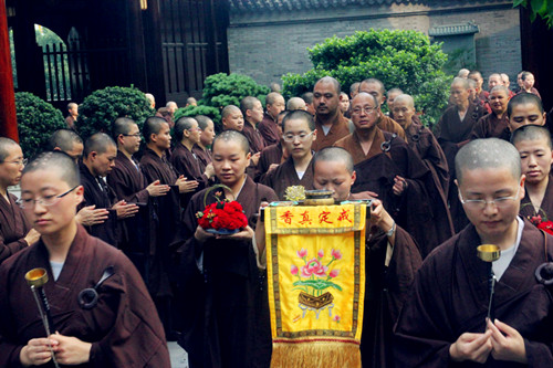 �����  ���벻��