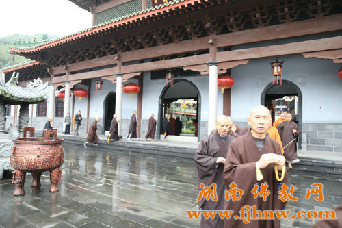 ���ŷ������