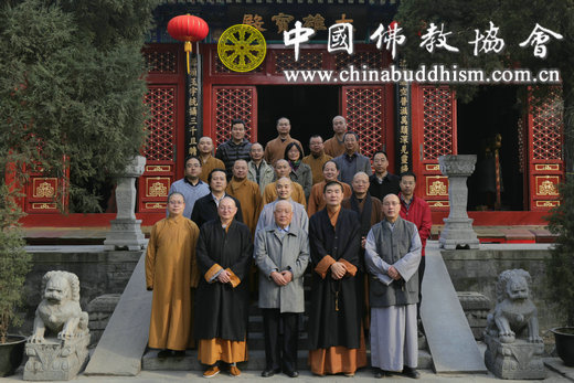 ��Ӱ����