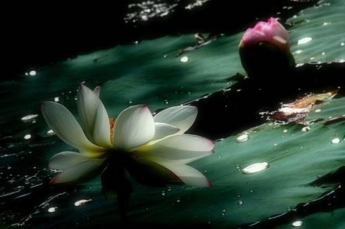 ����ɫ�Բ����ಡ��