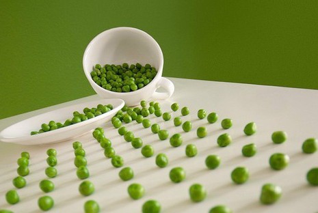 ������5��<a href=http://ss.zgfj.cn/ target=_blank class=infotextkey>��ʳ</a>�ɴ�����ʳ.jpg