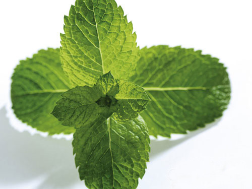 ���ڳ�̫�ࡣ 12��ʳ��������.jpg